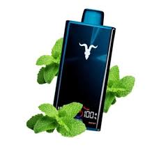 IGNITE V300 MENTHOL